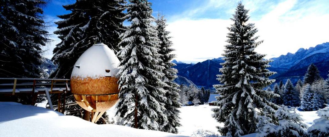 Pigna není pouze borová šiška Pigna není pouze borová šiška