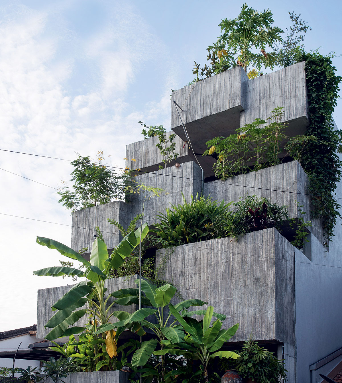 Planter Box House 01