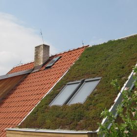 zelená střecha na rodinném domě ve Statenicích 2