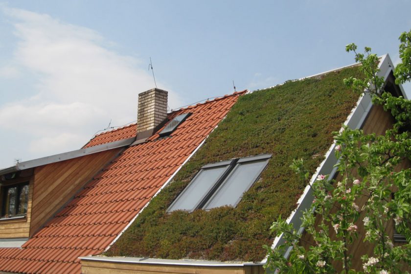 zelená střecha na rodinném domě ve Statenicích 2