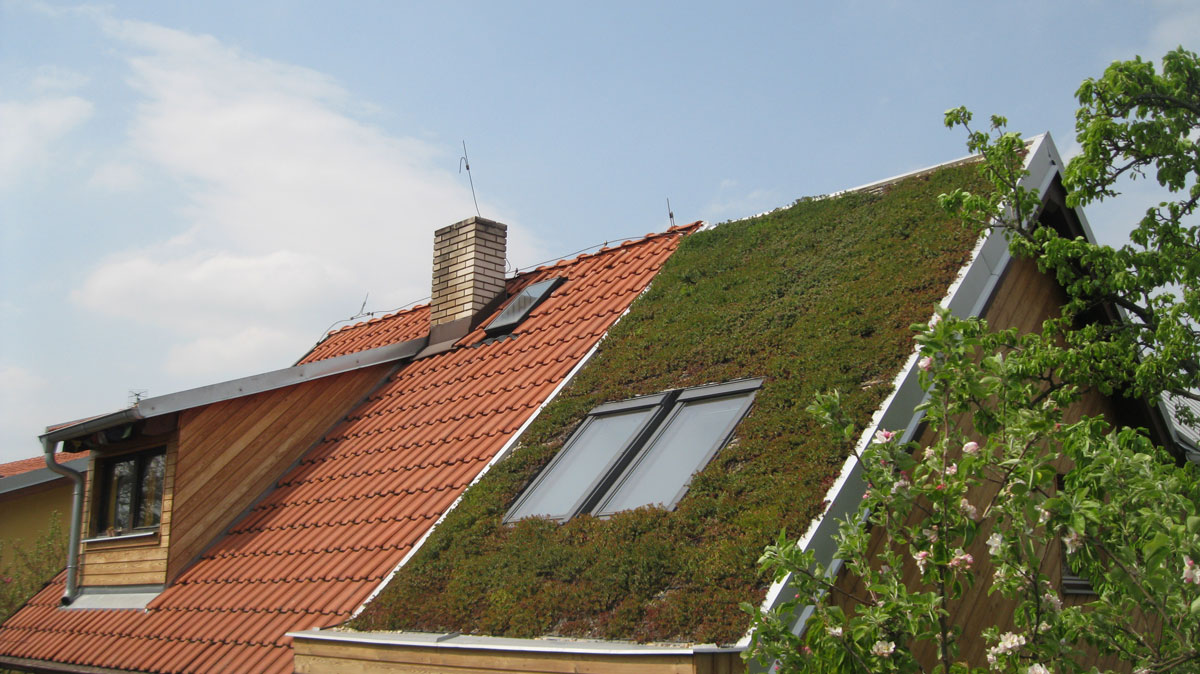 zelená střecha na rodinném domě ve Statenicích 2