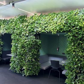 Príklad využitia rastlín v budovách biofilický dizajn pracovného priestoru v zelenej budove Olympic Edge v Amsterdame