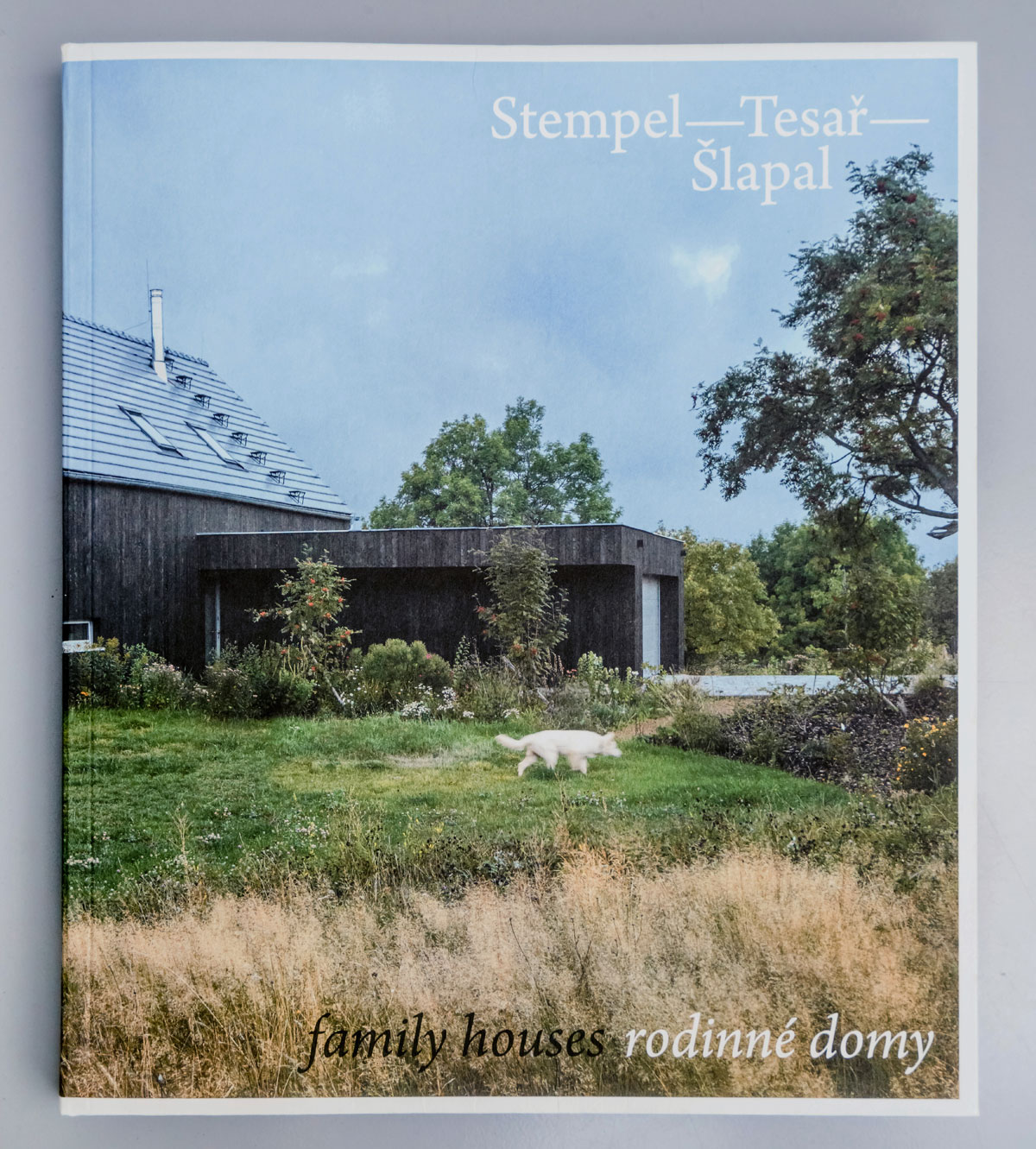 Obálka knihy Rodinné domy