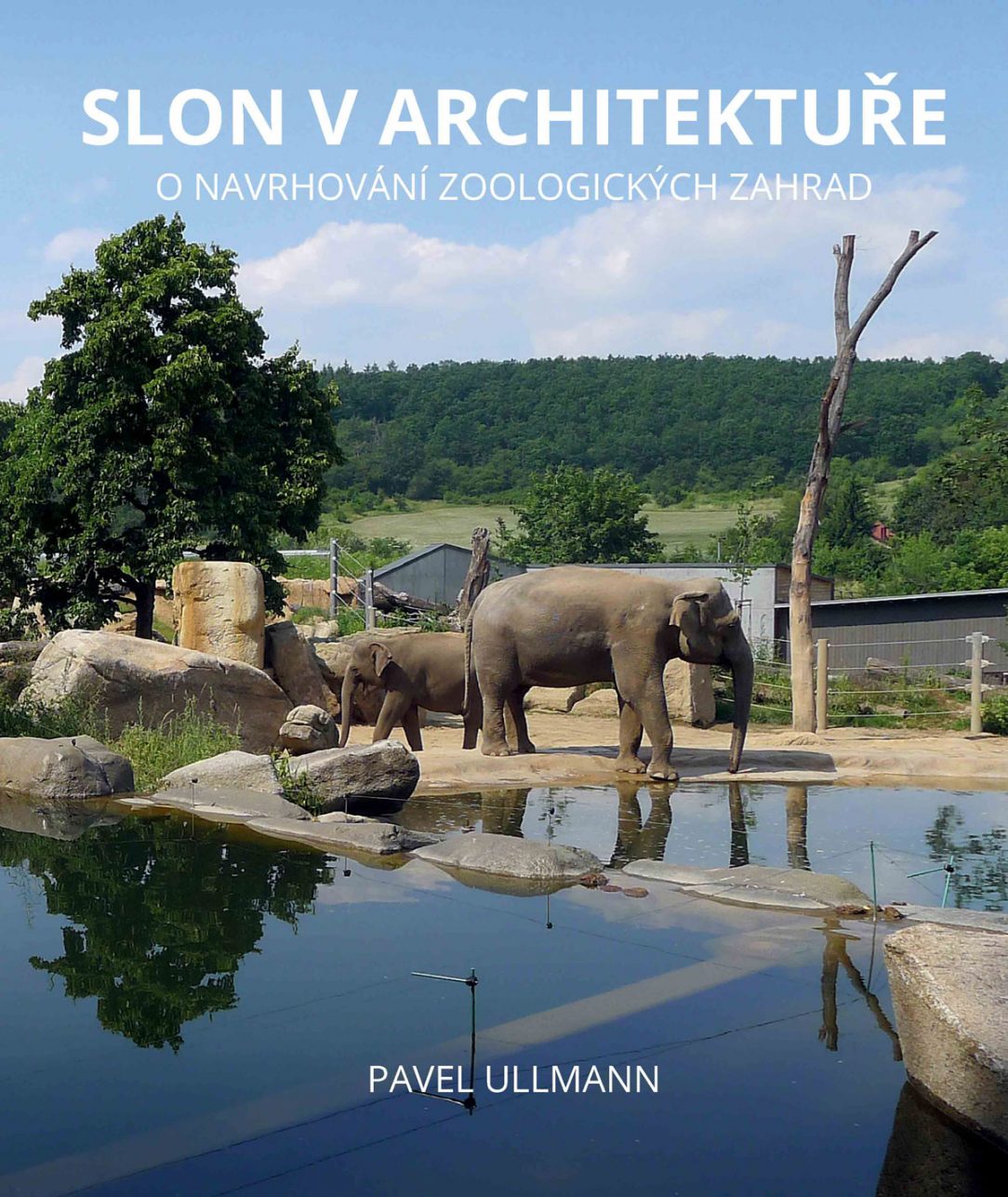 Obálka knihy Slon v architektuře