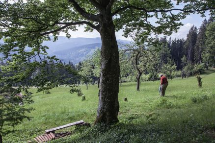 Fotografie Jako v nebi jenže jinak od Johany Pošové