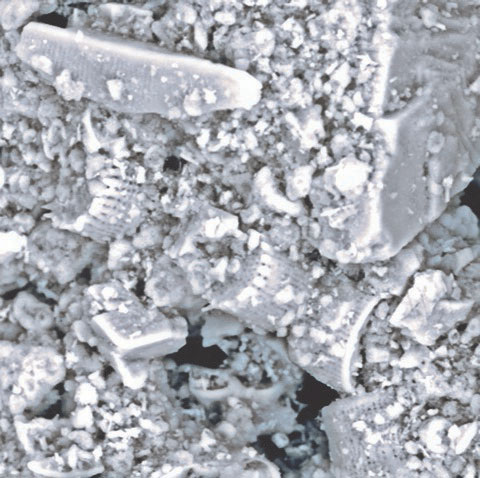 Obr. 9 – Mikroskopicky přiblížený snímek povrchu s omítkou Baumit StarTop ukazuje, jak se na něm šíří voda a jak díky tomu rychle schne. 