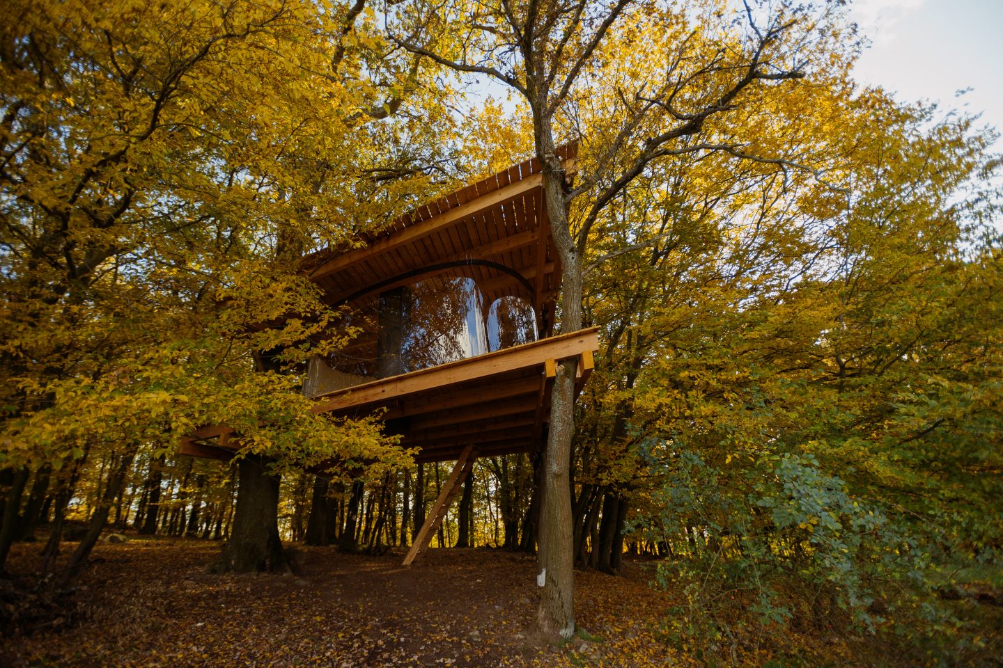 Tree House – Jan Tyrpekl, Jaroslav Kejř, Jan Hyk, Adam Ulrich