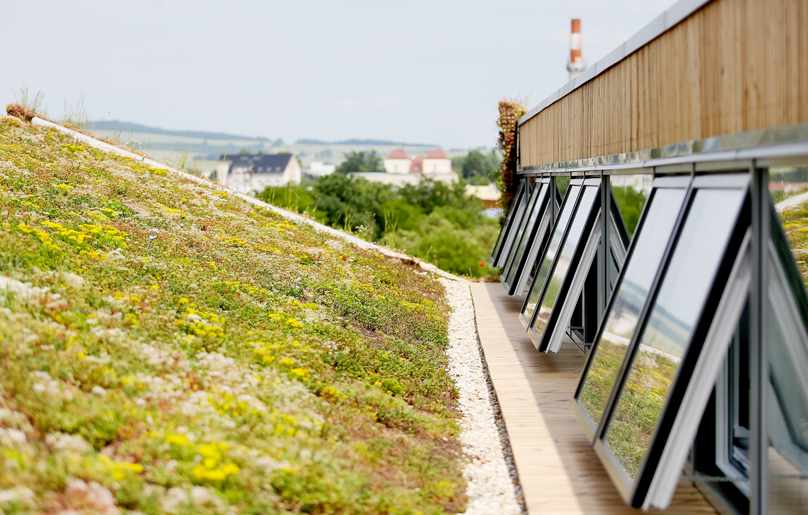 Výrobní hala využívá zelené fasády i střechy, které snižují teplotu v interiéru i ve svém okolí.