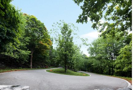 Mount Royal Park