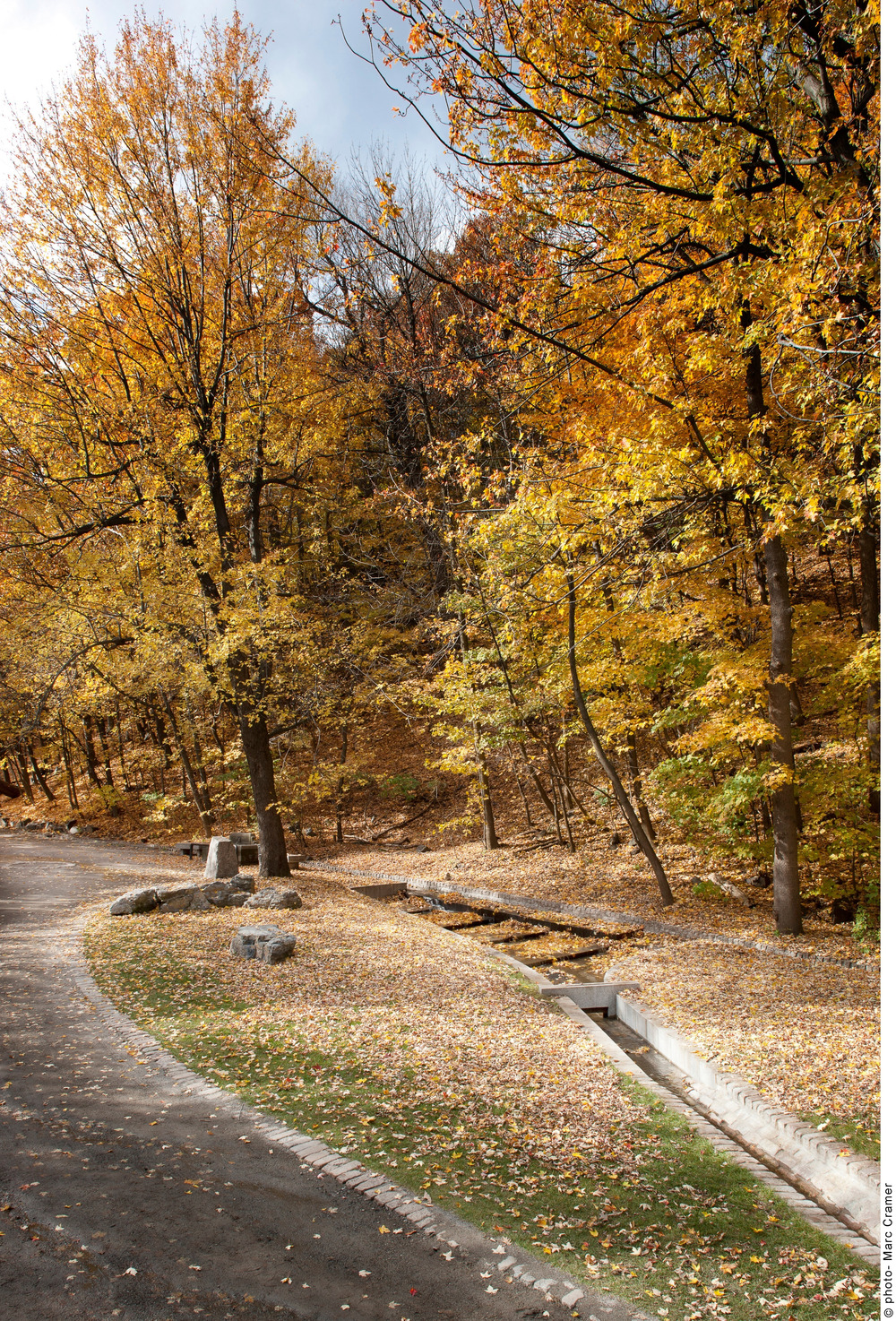 Give Peace a Chance,
Mount Royal Park, Montreal