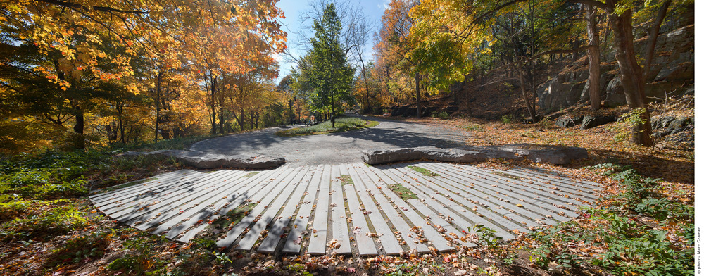 Give Peace a Chance,
Mount Royal Park, Montreal