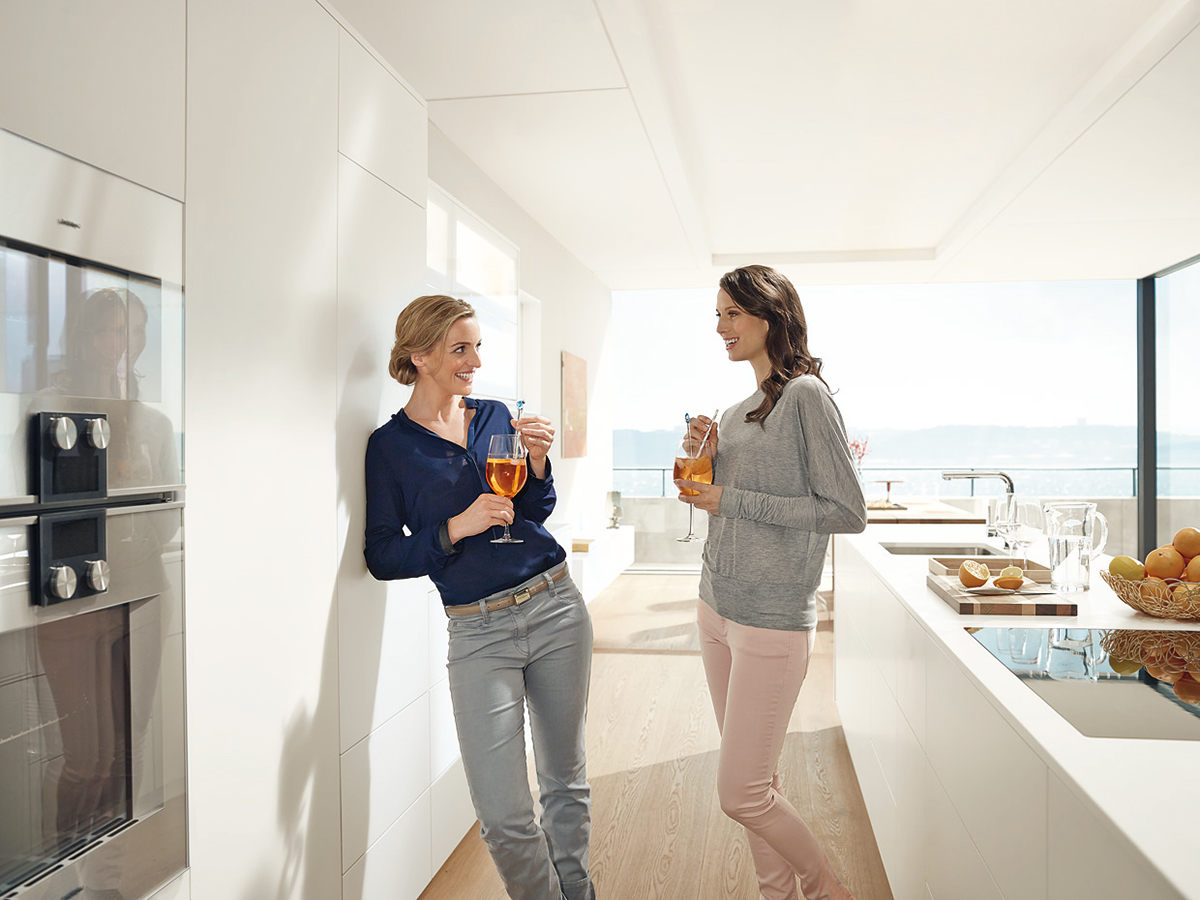 Blum sdflex0018 3