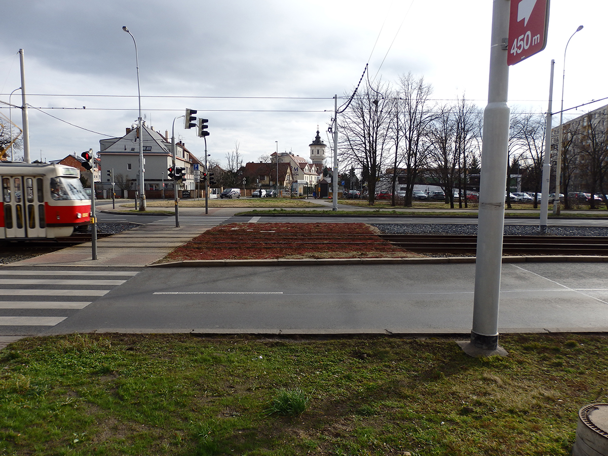 Zelený tramvajový pás v Praze Ládví