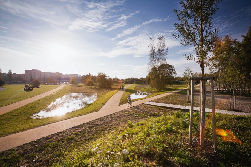 PARK 4D pond by entrance 2014