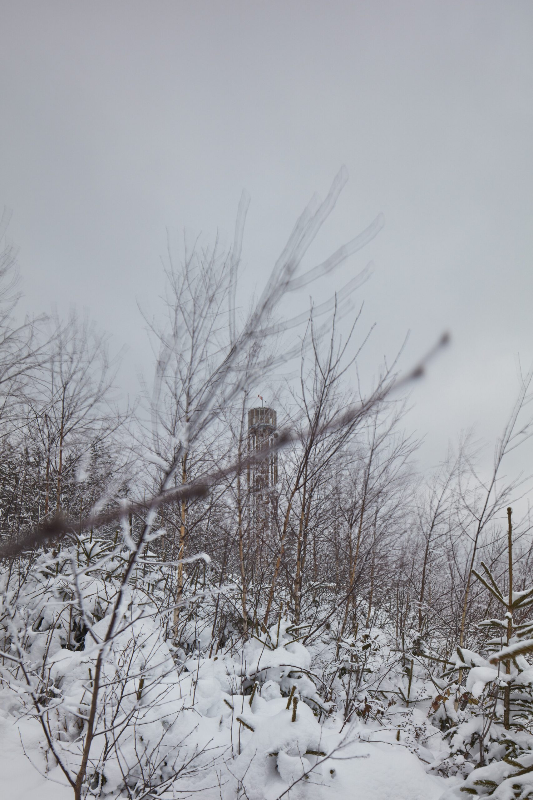 lookout tower at kralicak taros nova boysplaynice 07