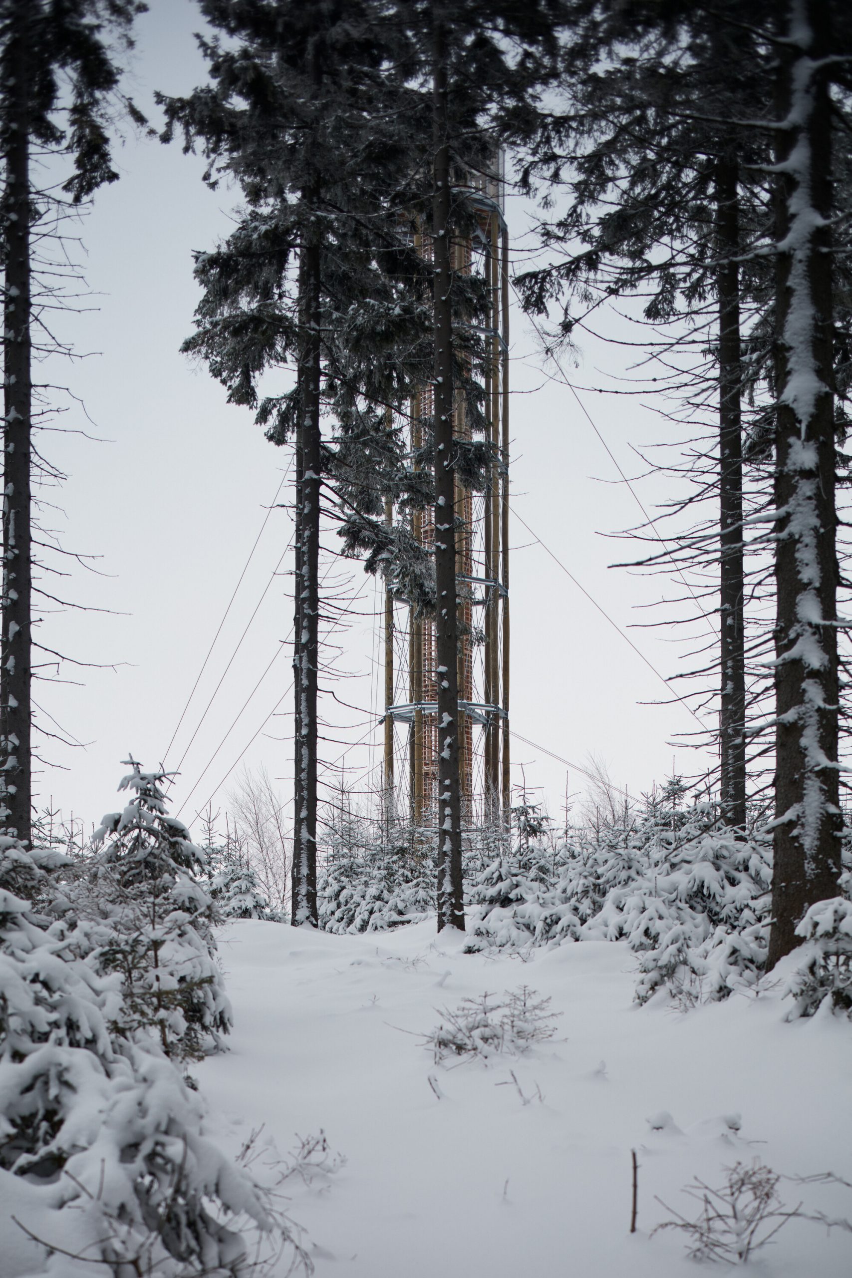 lookout tower at kralicak taros nova boysplaynice 10