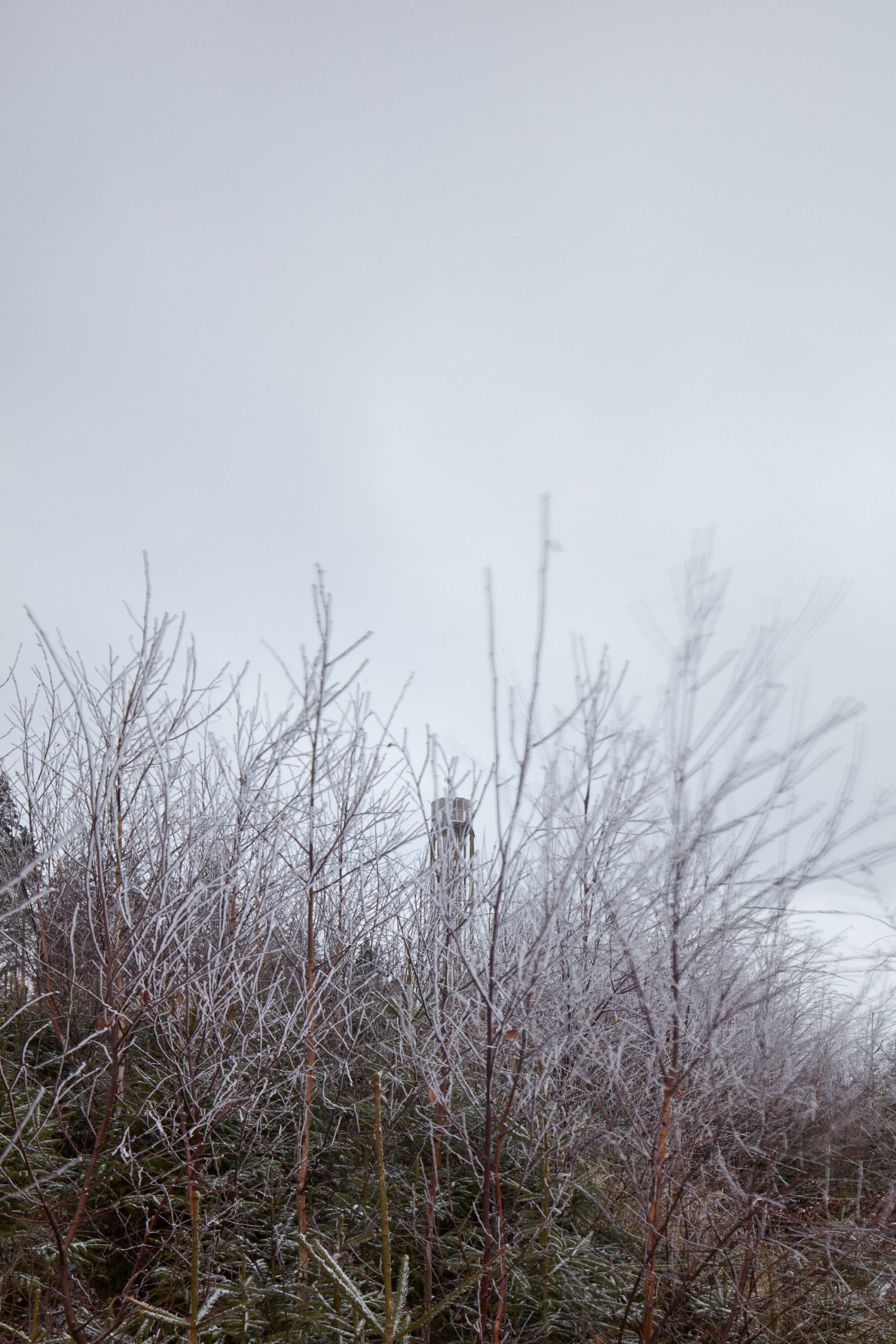 lookout tower at kralicak taros nova boysplaynice 17