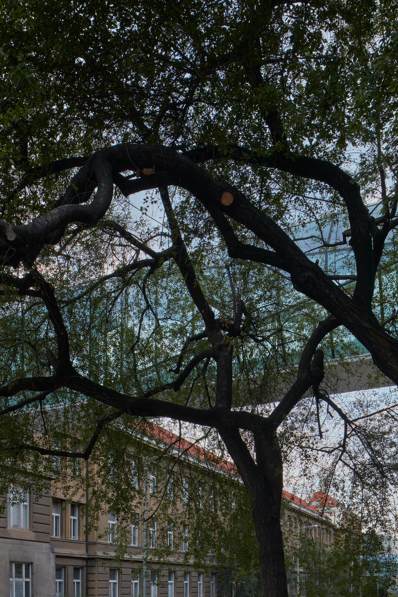 connecting footbridges uct prague ova boysplaynice 15