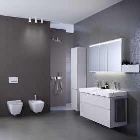 obr.1 2019 Bathroom 07 L Smyle wall brown Big Size