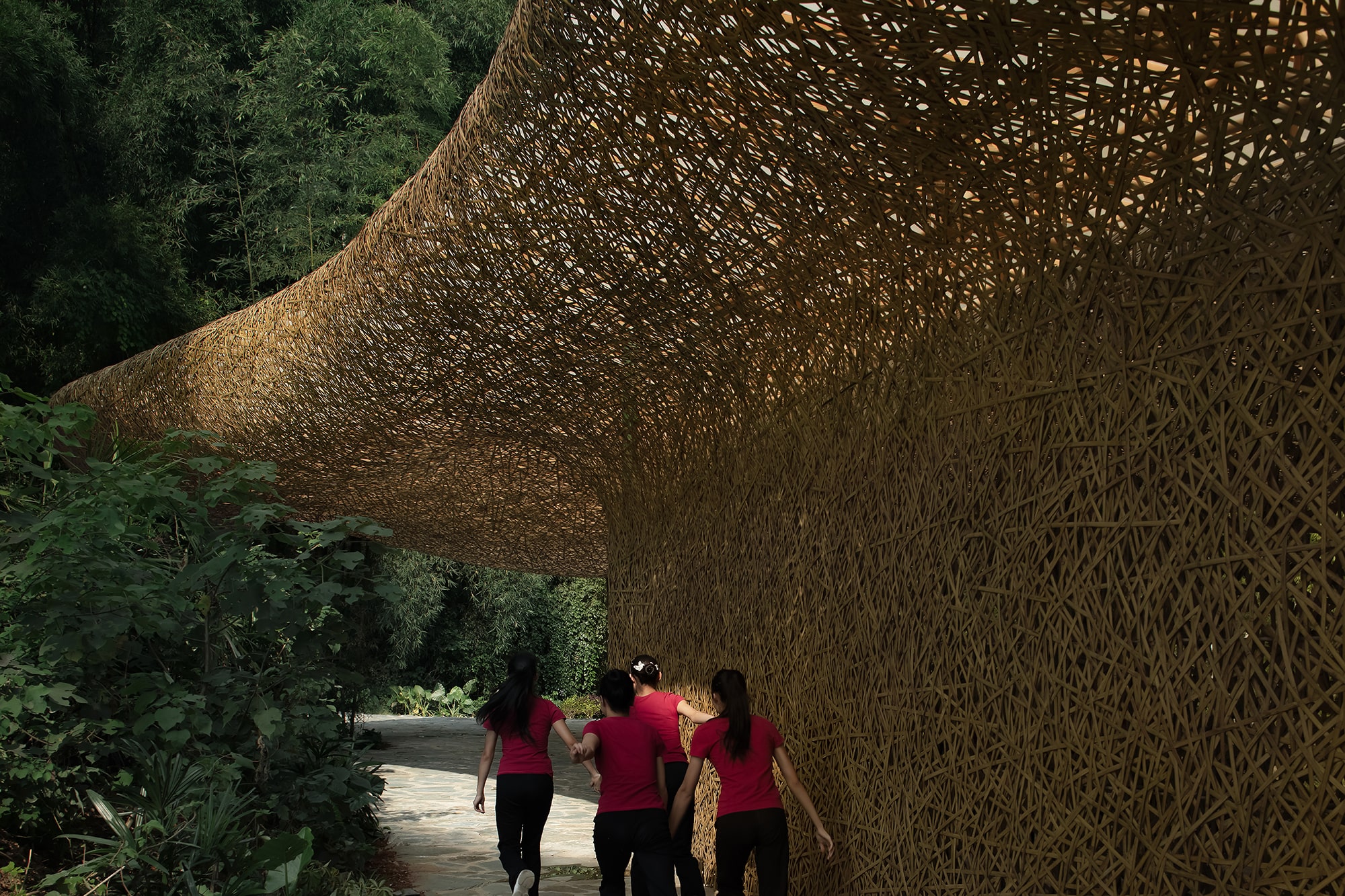 Bamboo, Bamboo, Canopy and Pavilions