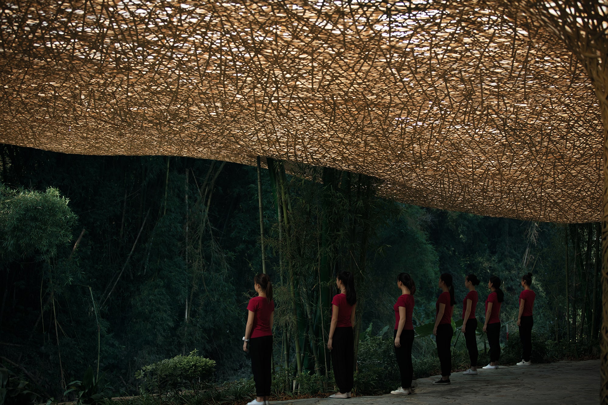 Bamboo, Bamboo, Canopy and Pavilions
