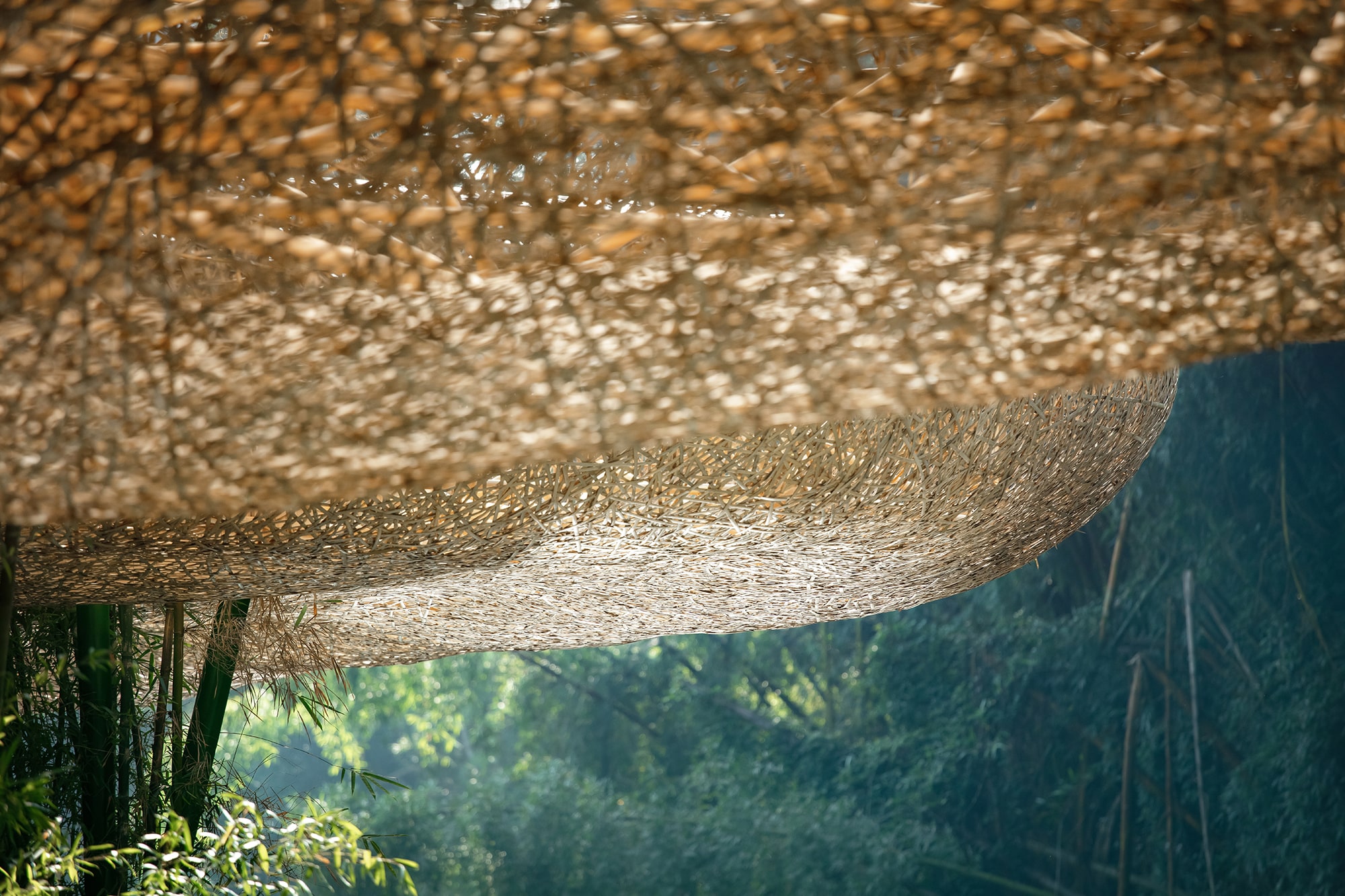 Bamboo, Bamboo, Canopy and Pavilions