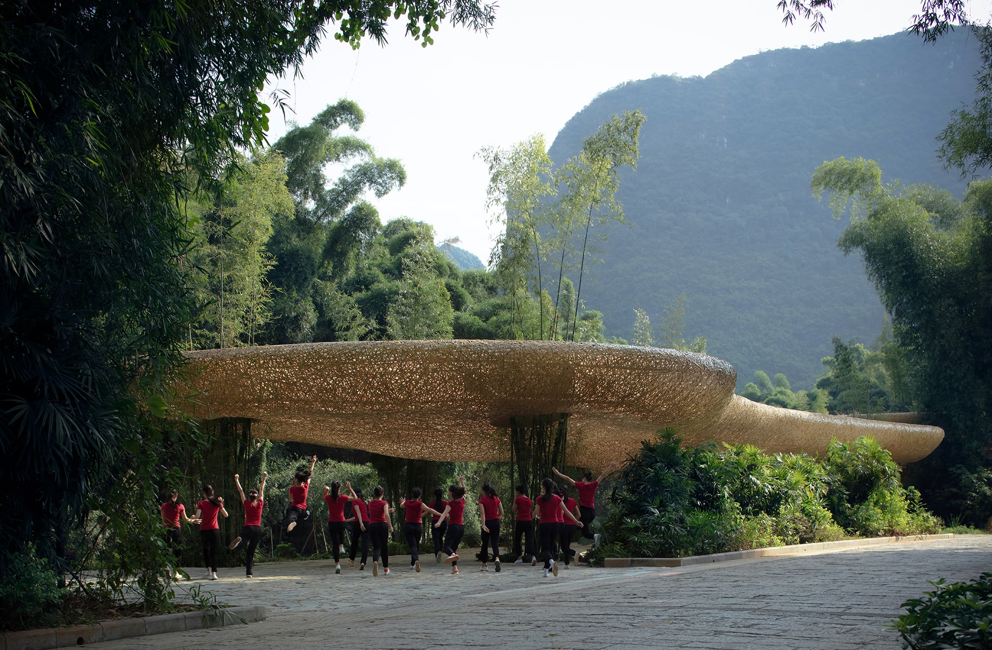 Bamboo, Bamboo, Canopy and Pavilions