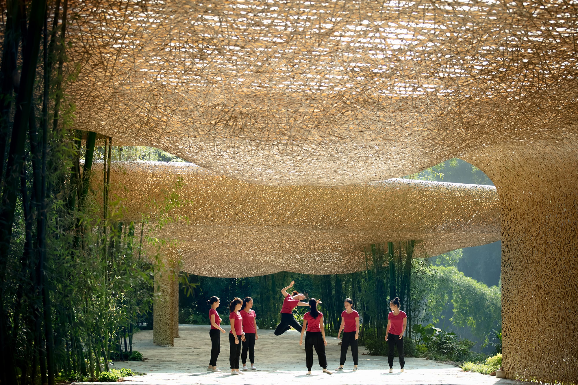 Bamboo, Bamboo, Canopy and Pavilions