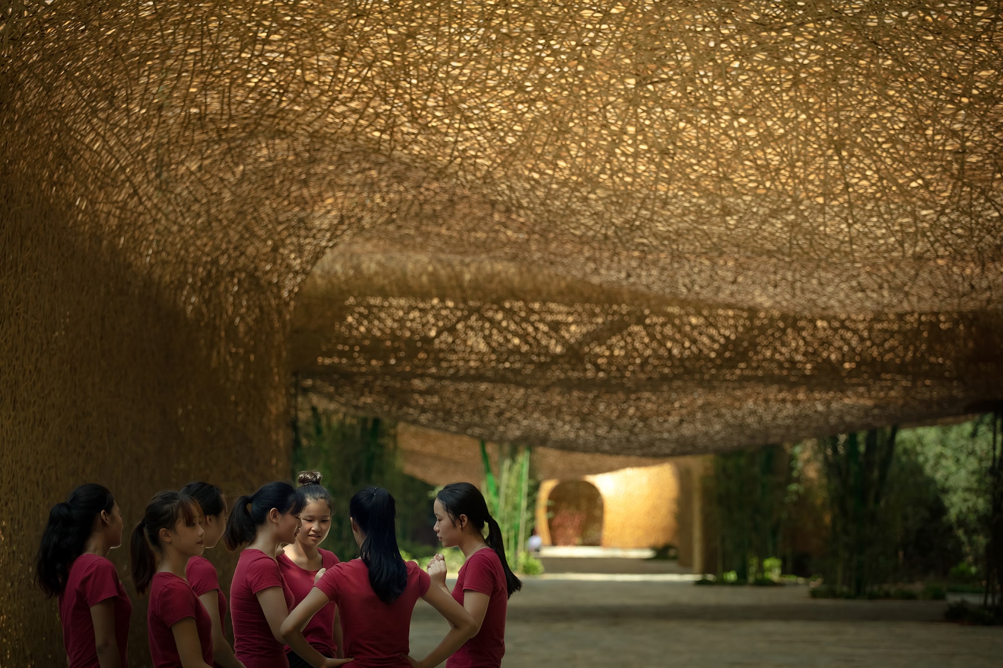 Bamboo, Bamboo, Canopy and Pavilions