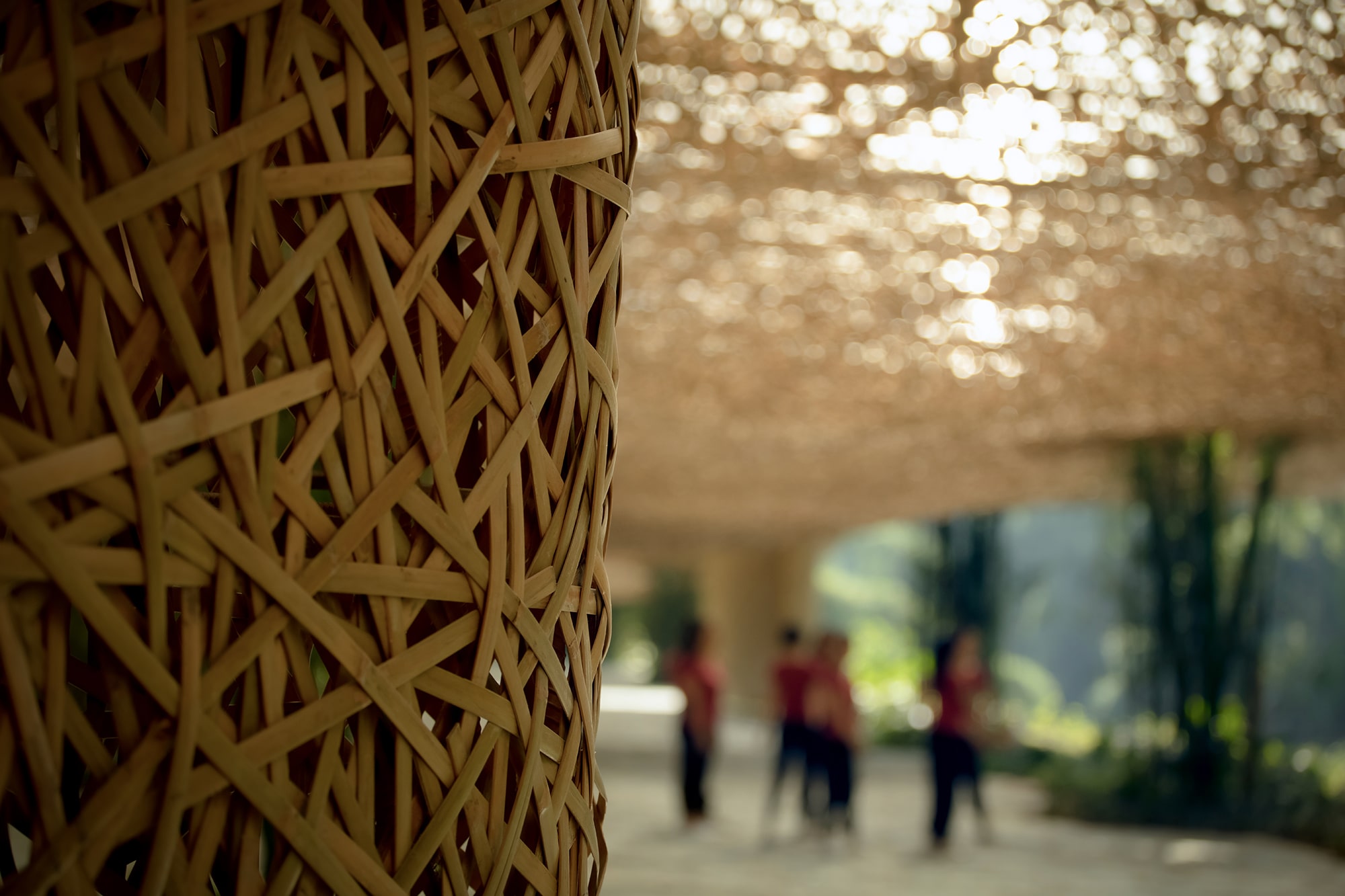 Bamboo, Bamboo, Canopy and Pavilions