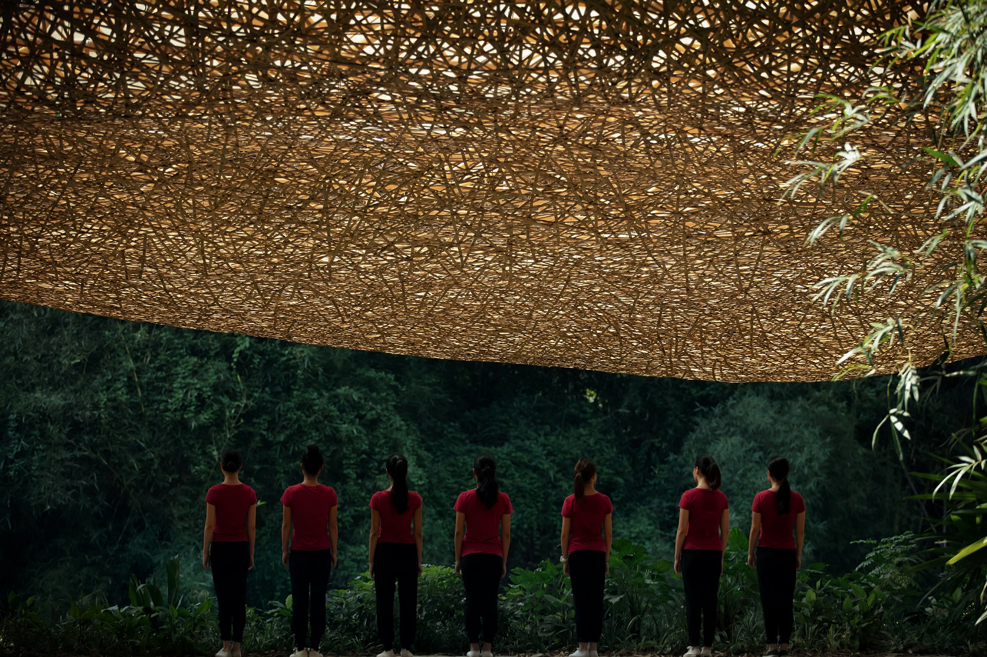 Bamboo, Bamboo, Canopy and Pavilions