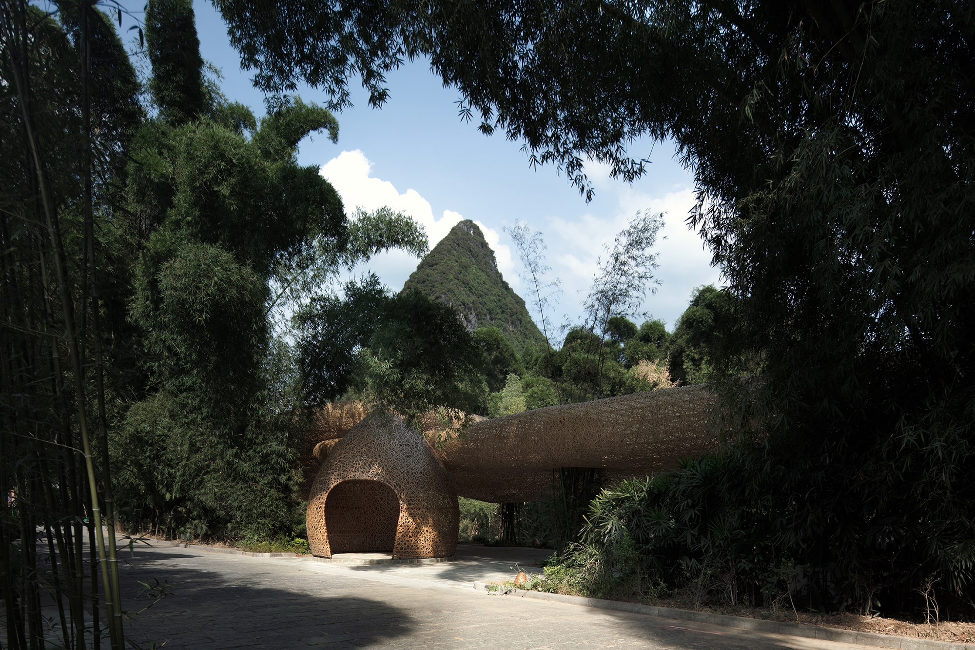 Bamboo, Bamboo, Canopy and Pavilions