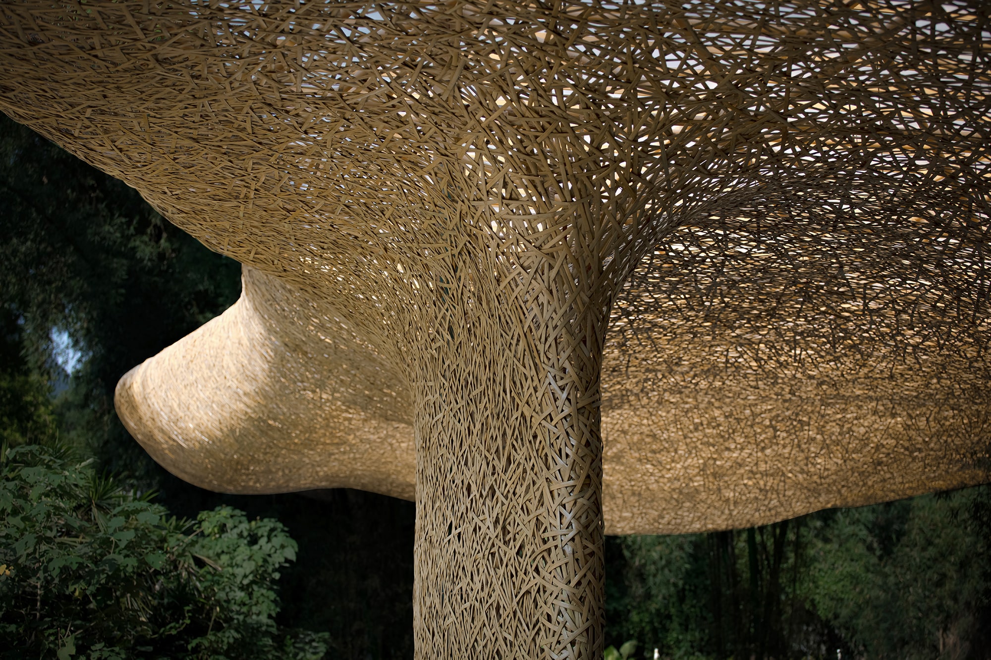 Bamboo, Bamboo, Canopy and Pavilions