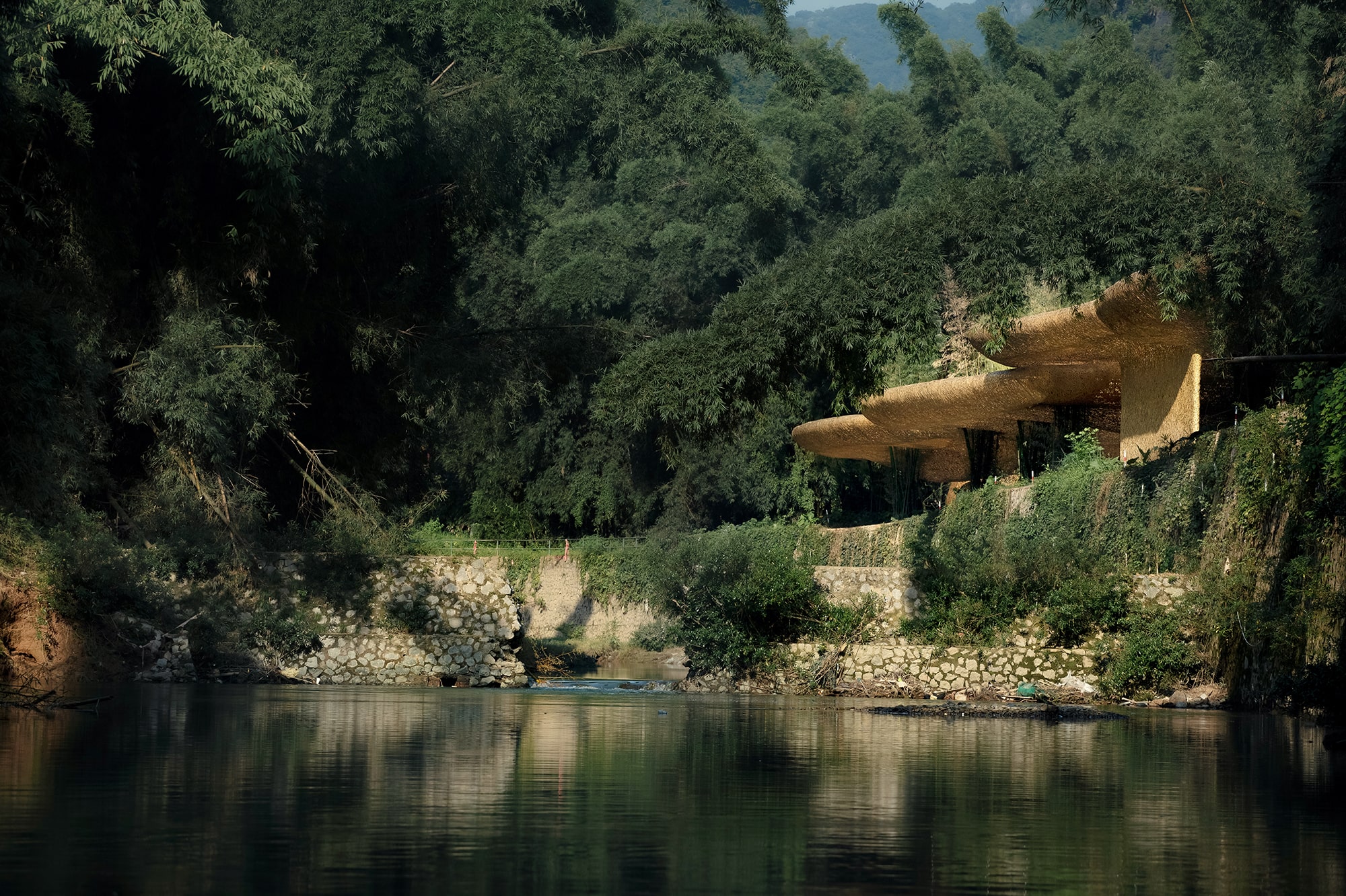 Bamboo, Bamboo, Canopy and Pavilions