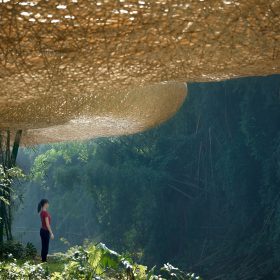 Bamboo, Bamboo, Canopy and Pavilions