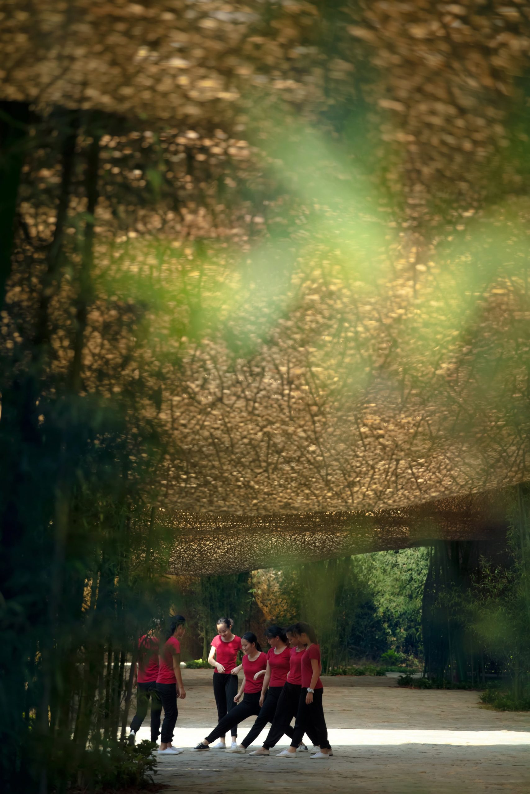 Bamboo, Bamboo, Canopy and Pavilions