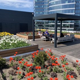 Nová pobytová terasa na střeše budovy B v BB Centru nabízí zaměstnancům příjemné posezení pod pergolou