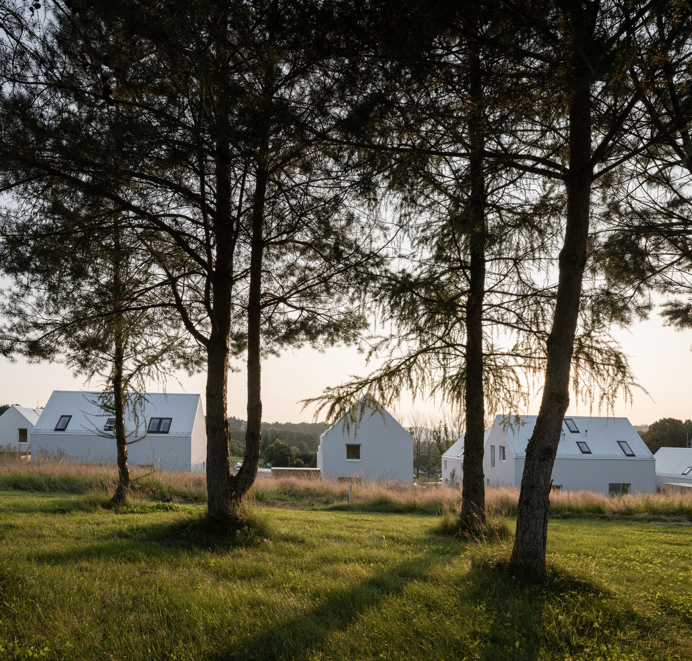 Green Village monom 01