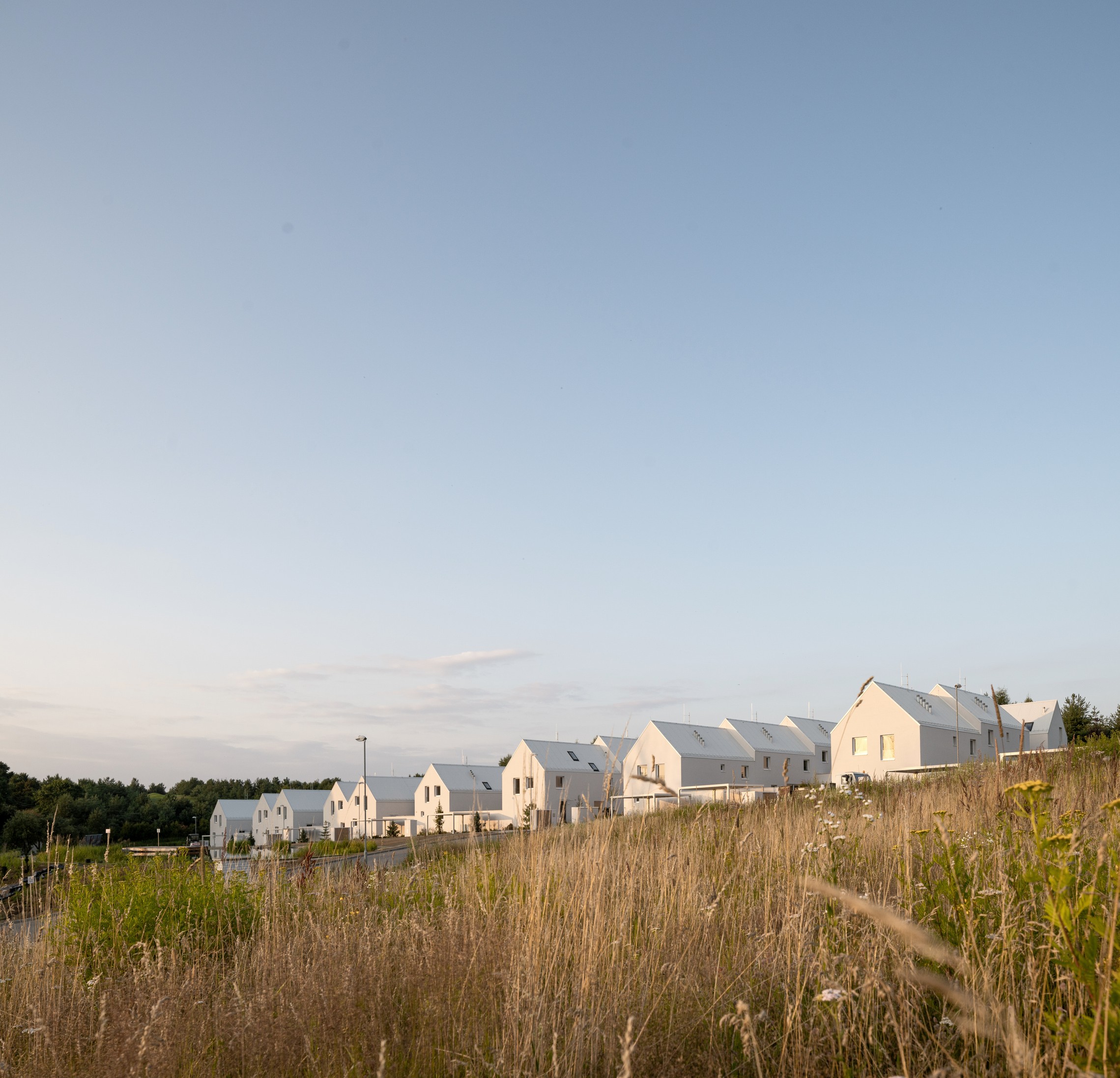 Green Village monom 12