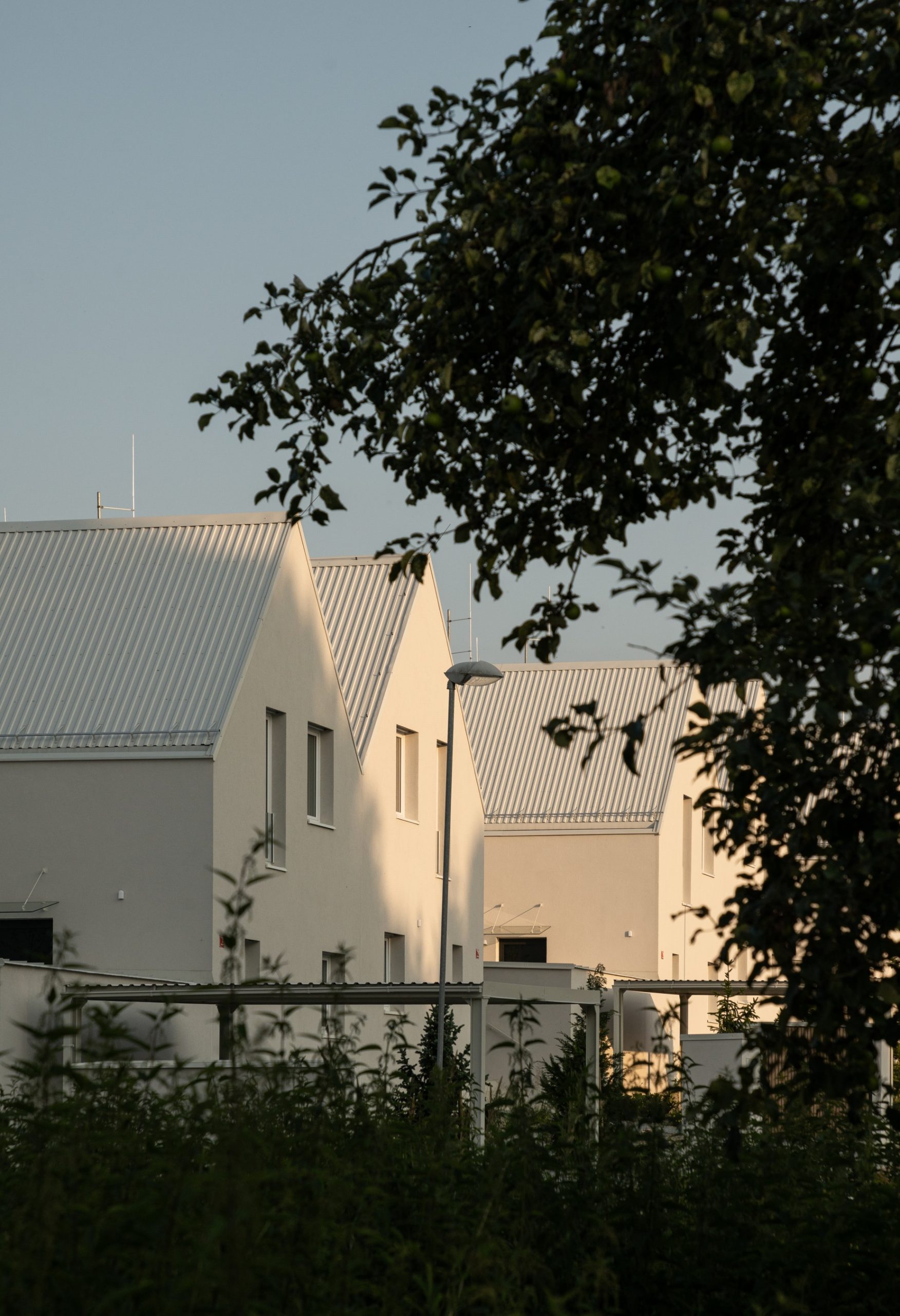 Green Village monom 20