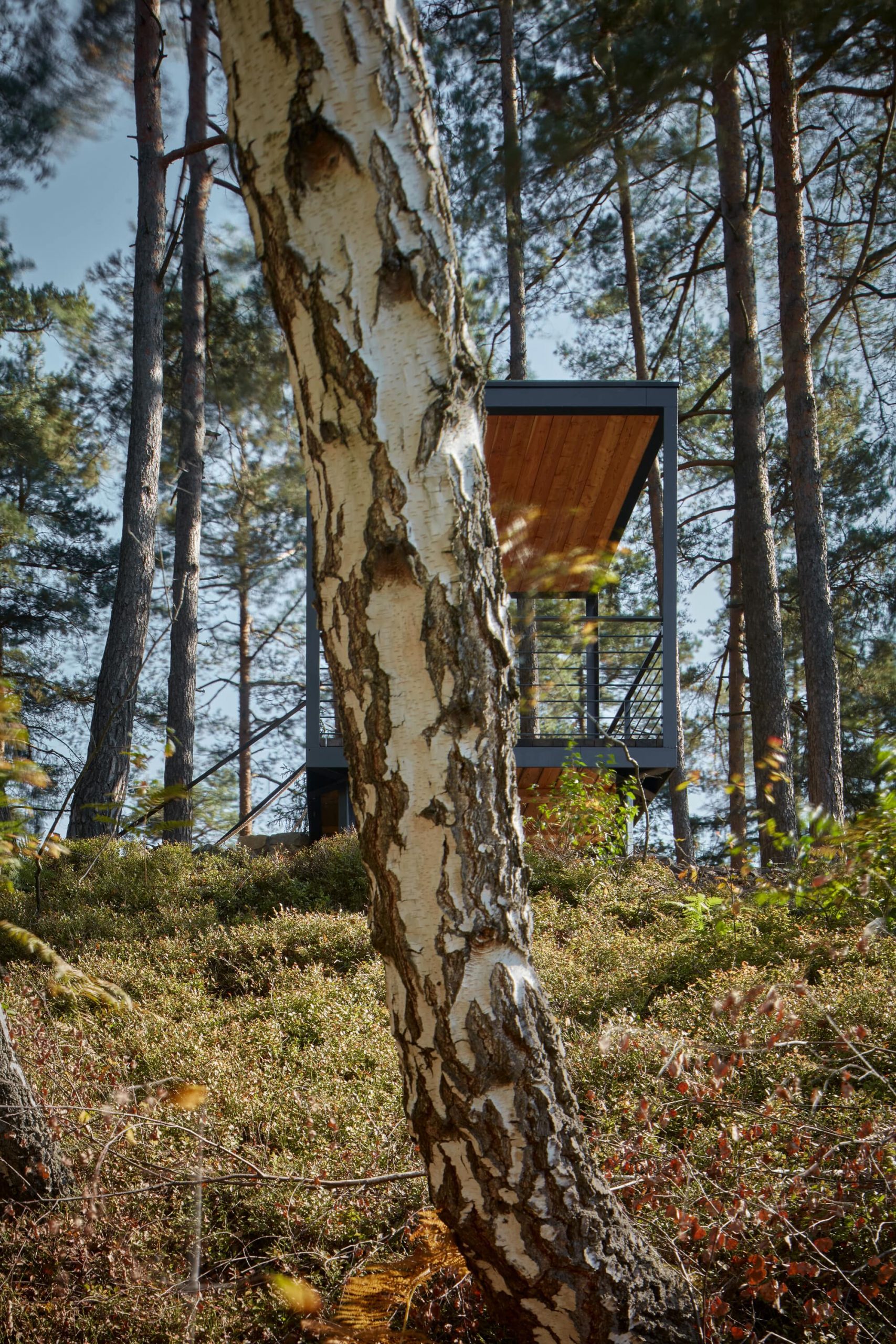 henkai zahrada park krajina walk over the quarry boysplaynice 12 min