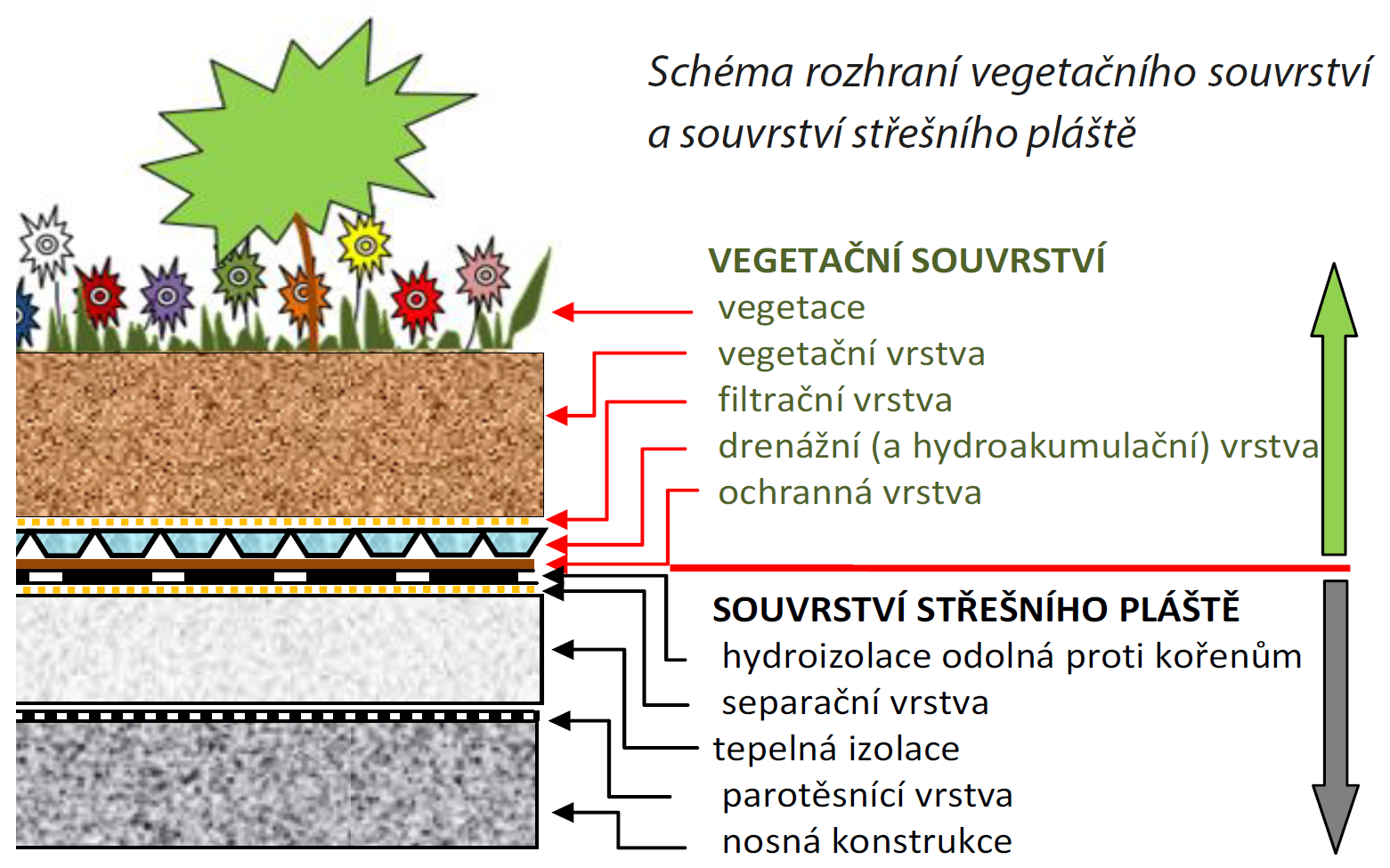 Vegetační souvrství je vše, co rostlinám slouží pro růst. V souvrství střešního pláště jsou rostliny nežádoucí, a proto musí být chráněno hydroizolací odolnou proti prorůstání kořínků.