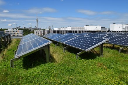 Biosolární střecha na administrativní budově v Mnichově.