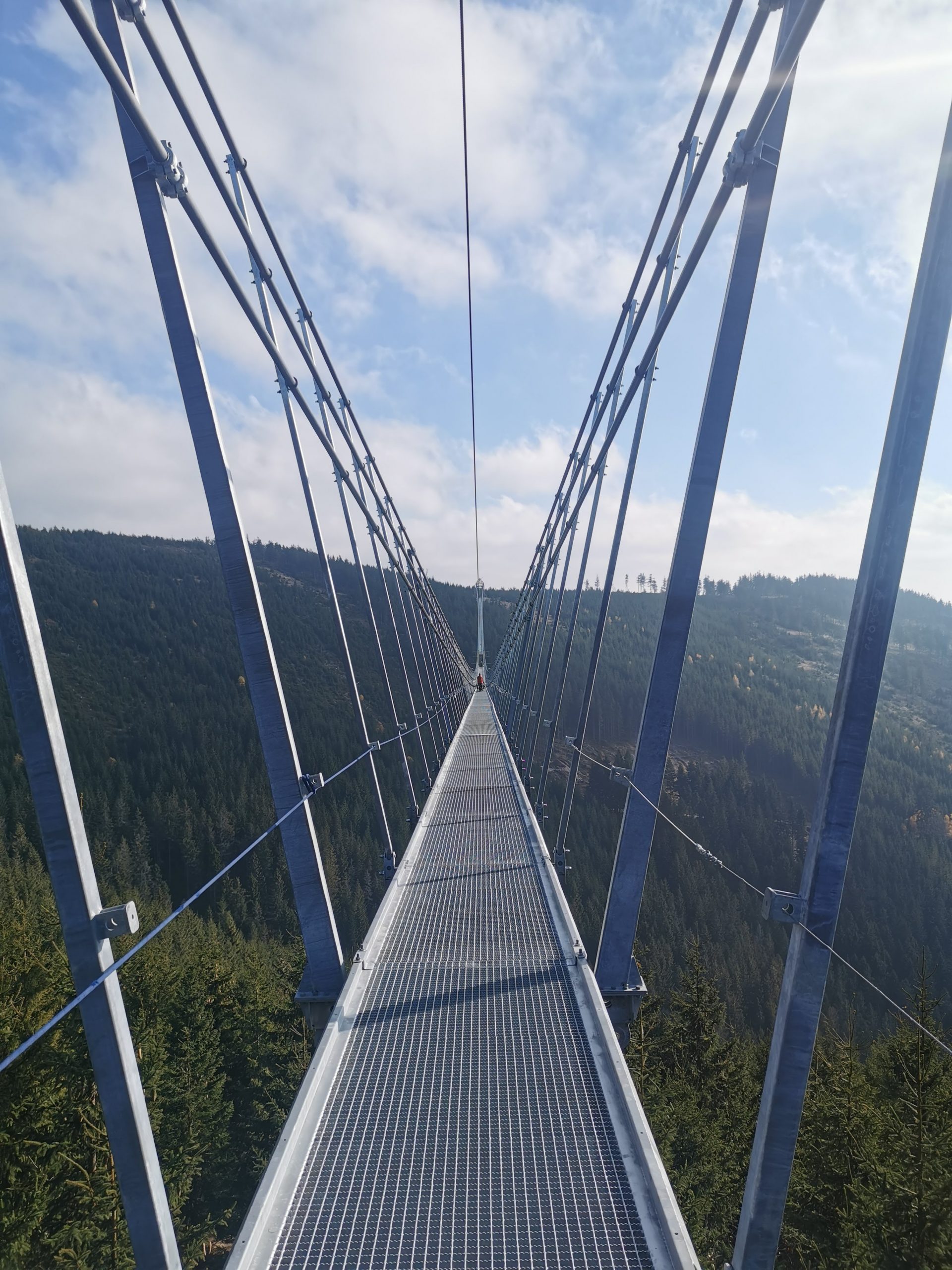 Sky Bridge 721 