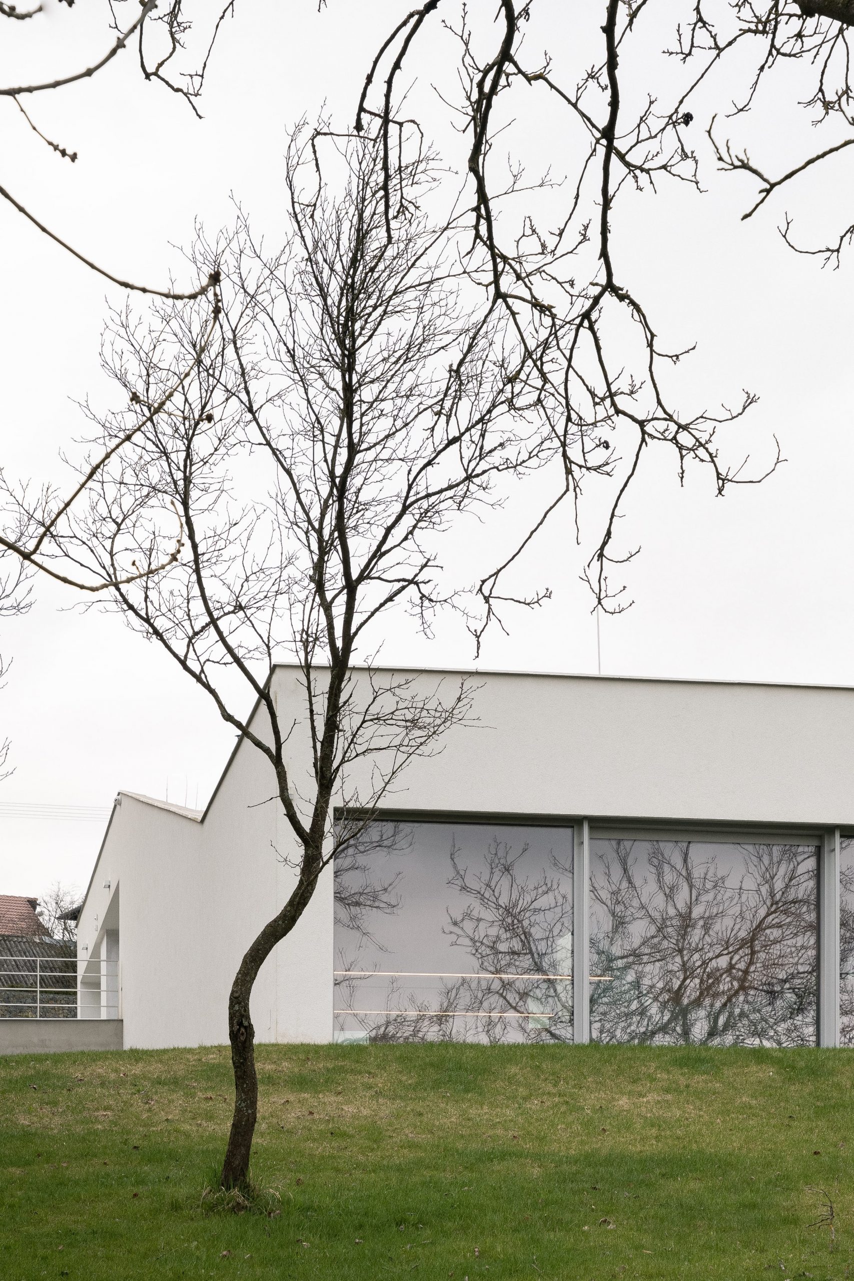 Platforma architekti Flow House photo by alex shoots buildings 20 min