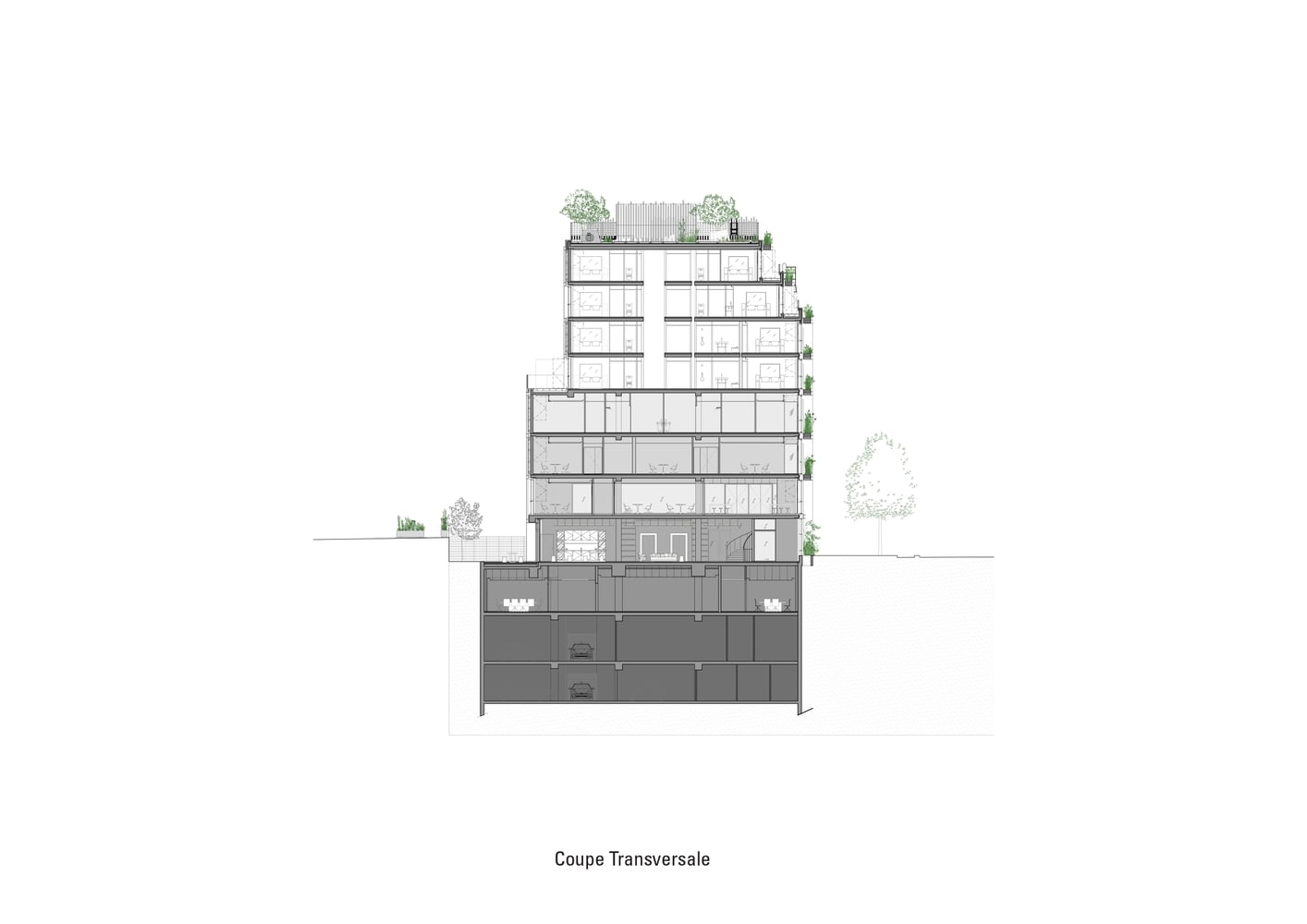 Villa M