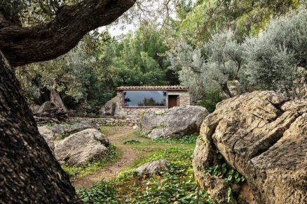 Olivové domky