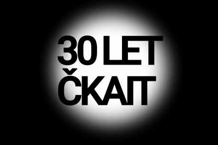 30 let ČKAIT