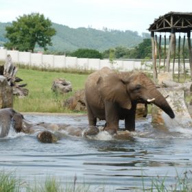 ZOO a zámek Zlín - Lešná, zoogeografické expozice Karibuni, Jaguar Trek a Afrika
