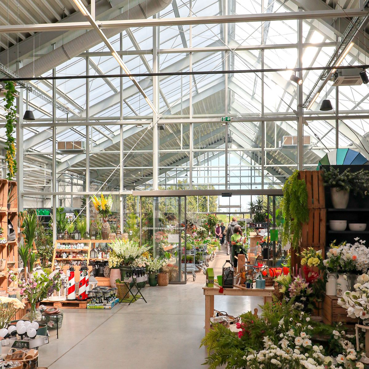 Zahradne centrum vo Veselom pri Piestanoch 10
